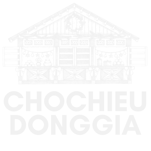 chochieudonggia.com